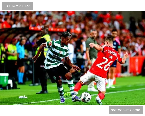 葡超新赛季揭幕，豪门球队争冠态势引关注